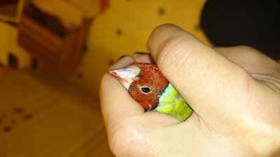 DSC_1688.JPG