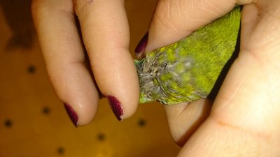 DSC_1702.JPG