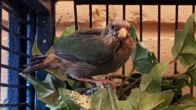 20160418_185512.jpg