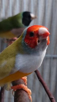 DSC_1438.JPG