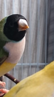 DSC_1487.JPG