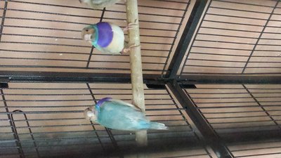 20160424_201838.jpg