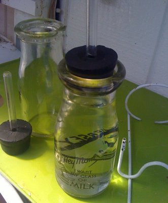 water bottle 3.jpg