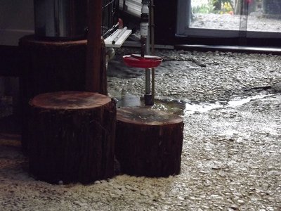 auto water 1.JPG