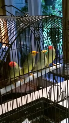 WP_20160601_19_36_00_Pro.jpg
