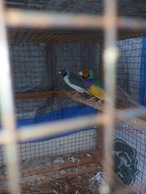 male 2.jpg