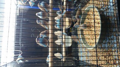 20160626_140329.jpg
