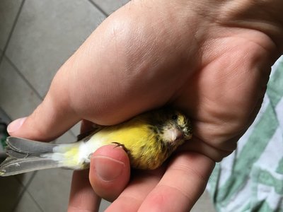 image.jpeg