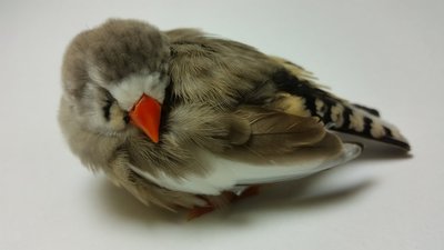 20160810_185828.jpg