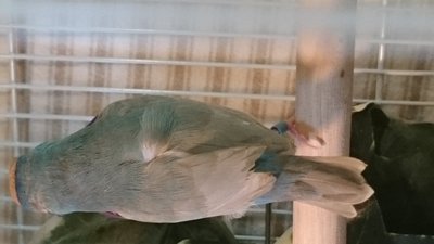 DSC_2915.JPG