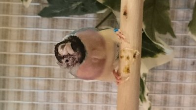 DSC_2894.JPG