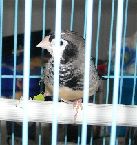 DSCN0002.JPG