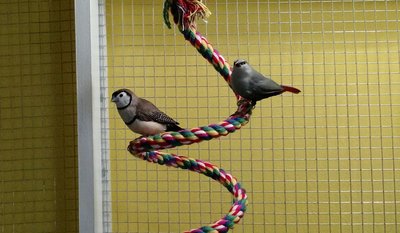 IMG_20160813_183015.jpg