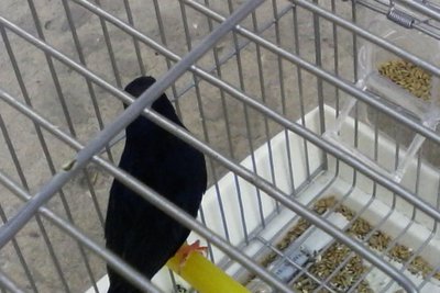 IMG_20160903_180018.jpg