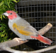 DSCN0008.JPG