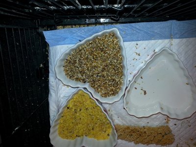 midgetsbowls.jpg