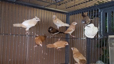 20160910_151351_018.jpg
