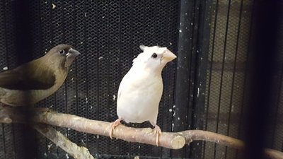 20160910_151856.jpg