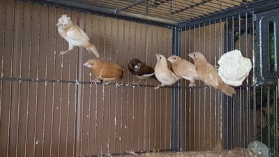 20160910_151346.jpg