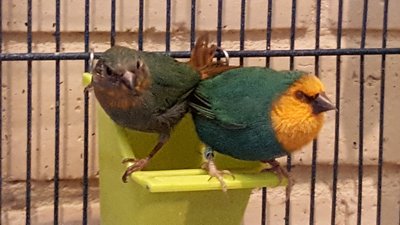 20160910_145812.jpg