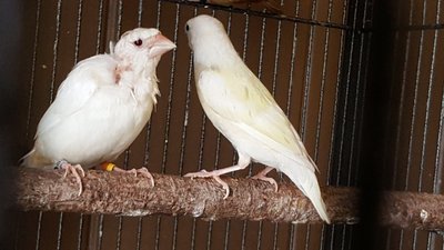20160304_172046.jpg