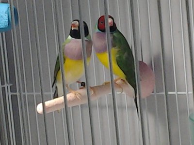 20160915_131725.jpg