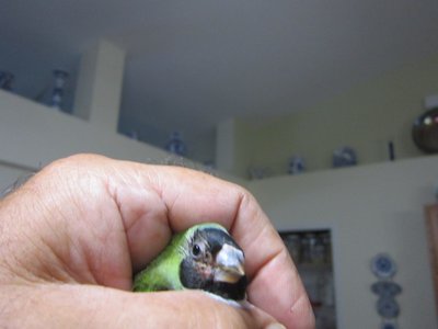 IMG_1951.JPG