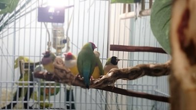 DSC_306812.jpg