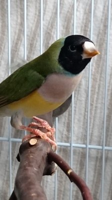 DSC_1416.JPG