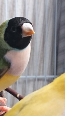 DSC_1487.JPG