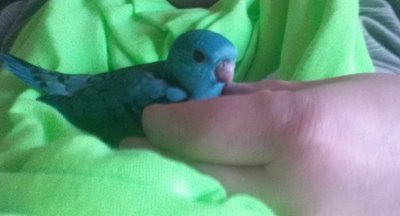 20160415_173936-2.jpg