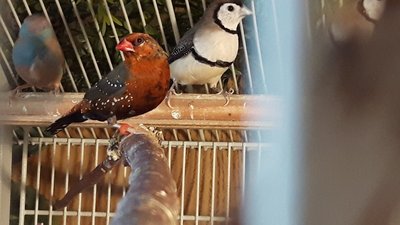 20161024_140418.jpg