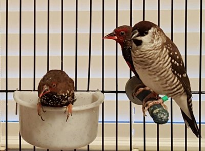 20161026_094819.jpg