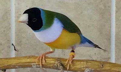 20161029_144543.jpg