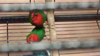20161027_190045.jpg
