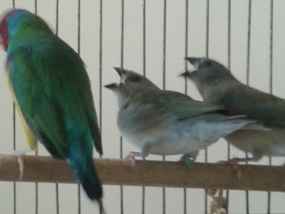 20141128_113405.jpg