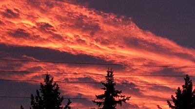 20161109_072647.jpg