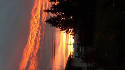 20161109_072621.jpg