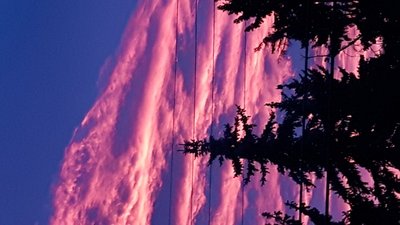 20161109_072708.jpg