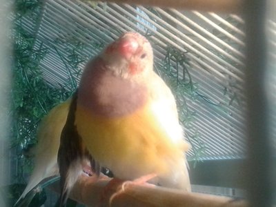 20151121_143317.jpg