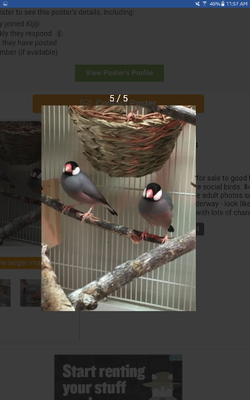 Screenshot_20161121-115706-360x576.png