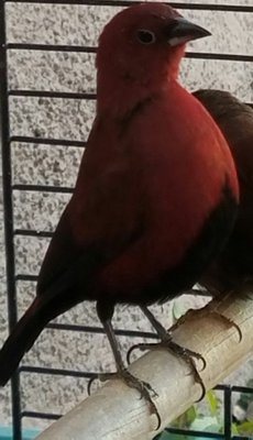 20161203_004617.jpg