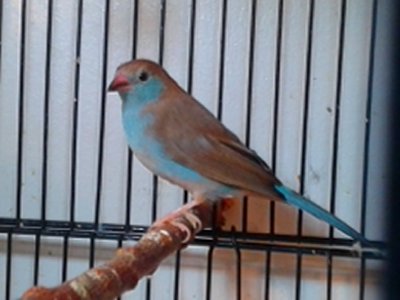 20150205_141830.jpg