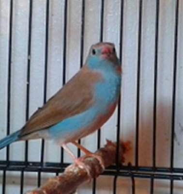 20150205_141815-2.jpg