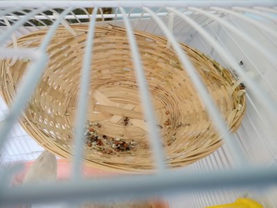 The basket is still empty. I was expecting them to put back the old into the basket...