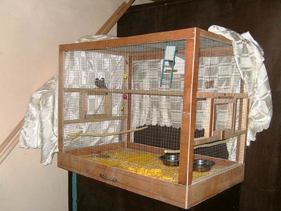 Completed Cage. I cut 1/4&quot; pile board strips for the trim and used wood glue to seal to prevent seeds collecting.