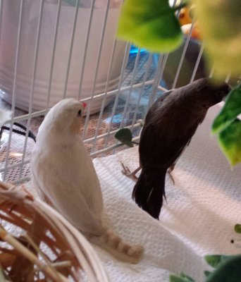 20160327_143251-1.jpg