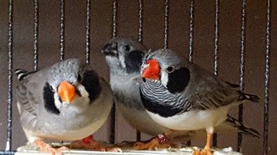 20170124_183343.jpg