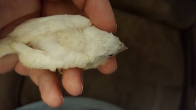 20170124_192408.jpg