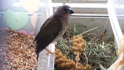 20160308_134758.jpg